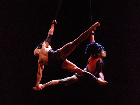 cirque du soleil varekai 1 varekai cirque de soleil brasil