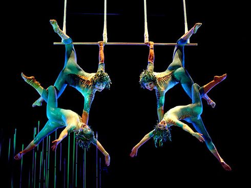 cirque du soleil varekai varekai cirque de soleil brasil