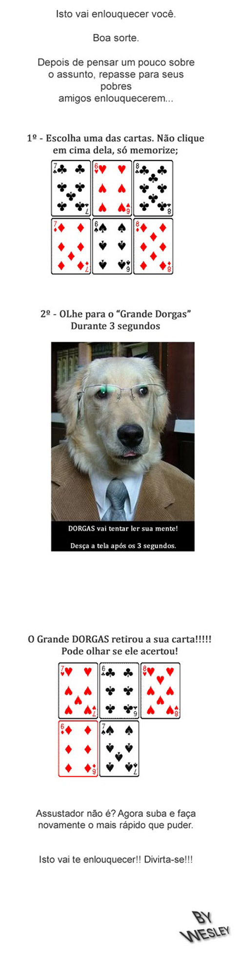 Desafio: Cachorro lê sua mente
