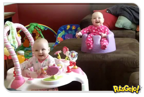 Momento Cute Cute: Bebês dando risadas em sincronia