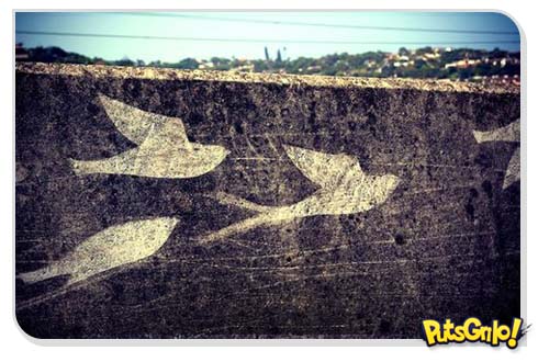 Graffiti reverso: Limpa a parede em vez de usar o spray