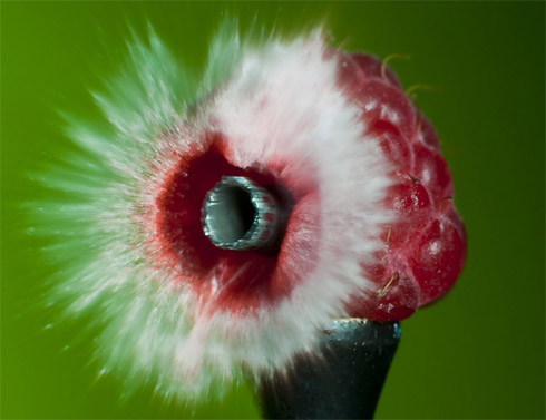 Fotos em slow motion de objetos destruídos