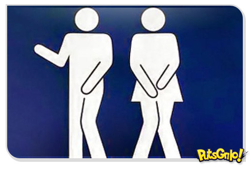 Pesquisa revela que com a bexiga cheia fazemos melhores escolhas