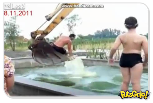 Brincadeira na piscina com escavadeira