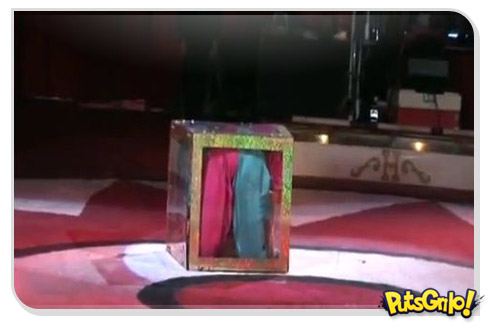 Incrível: Duas contorcionistas cabem no mesmo cubo