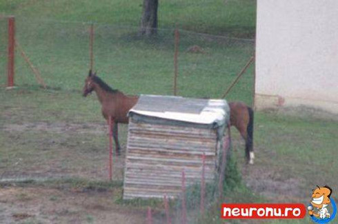 Fotos divertidas: Tudo é uma questão de ângulo