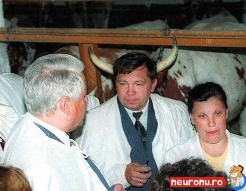 Fotos divertidas: Tudo é uma questão de ângulo