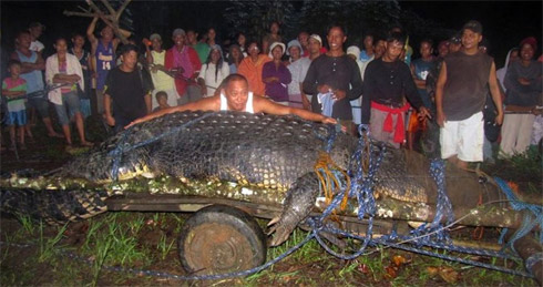 Crocodilo gigante nas Filipinas mais parece um dinossauro