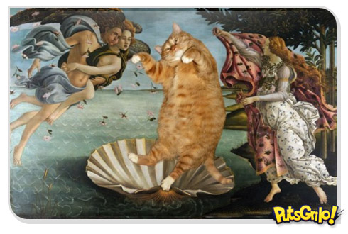 Gatos invadem pinturas clássicas