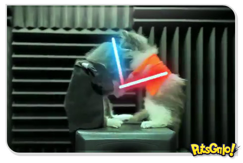 Guerra nas Estrelas: O Retorno dos Gatos Jedi