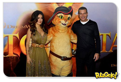 Antonio Banderas e Salma Hayek Gato de Botas