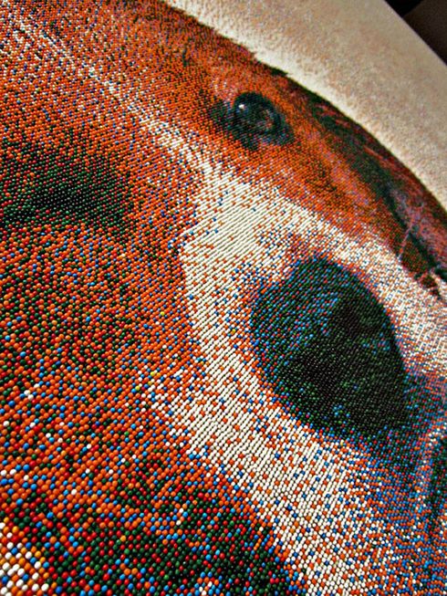 desenho cachorro