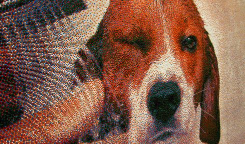 desenho cachorro