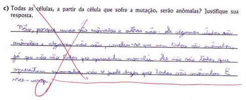 As pérolas mais criativas em provas escolares