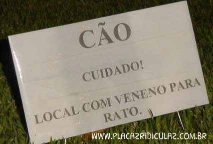 Cão Cuidado Veneno Rato