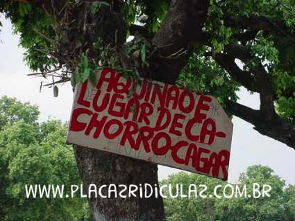 Lugar Cachorro cocô