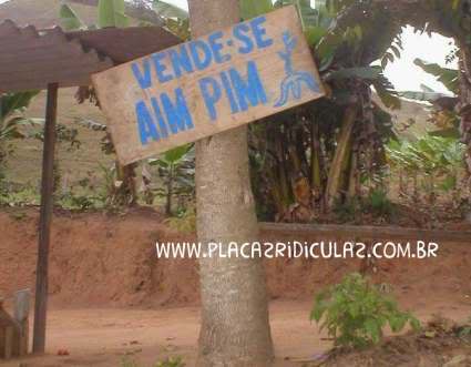 Vende-se Aim Pim