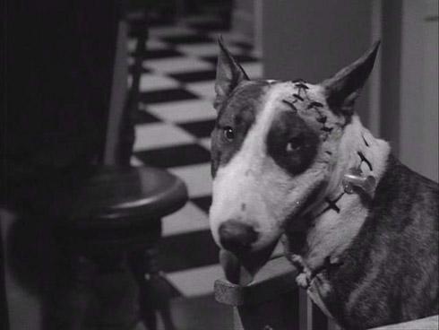 frankenweenie filme tim burton