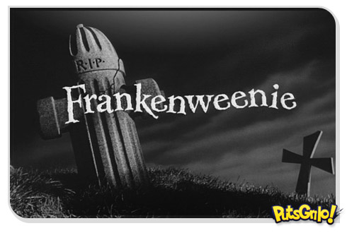 frankenweenie filme tim burton