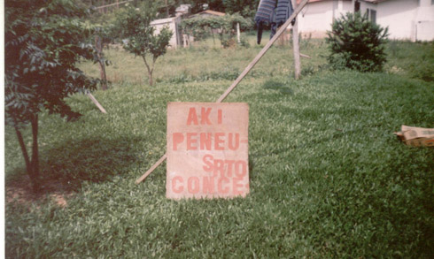 Placas desmotivacionais: Português fail