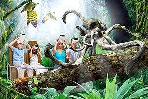 Animais do Futuro: Lula-Macaco