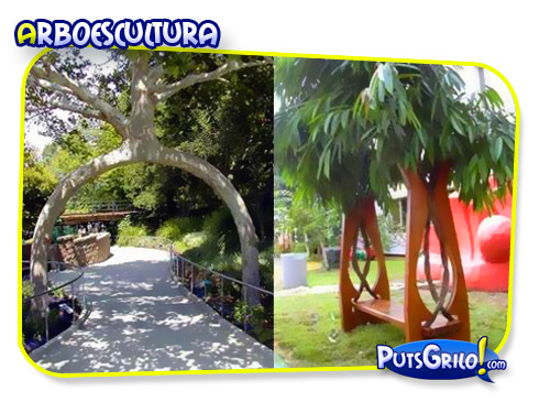 Jardinagem: Você Conhece a Arboescultura?