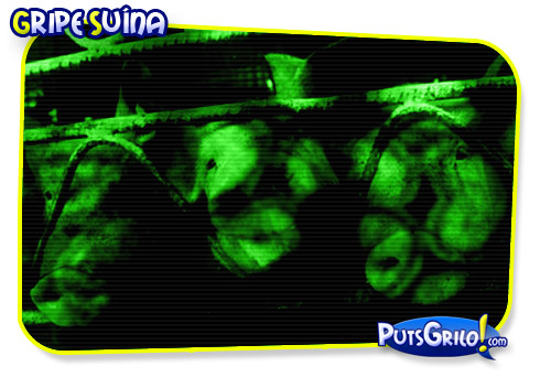 Influenza A H1N1: Diferenças entre Gripe Comum e Gripe Suína