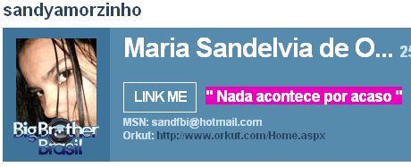BBB8 e Orkut: A Garfe de uma Participante no Blog