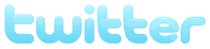 Twitter: O Novo Sucesso da Internet