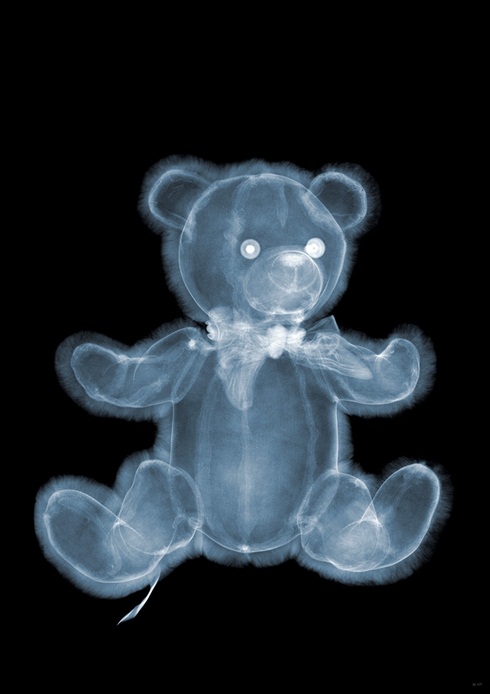 ursinho de pelucia