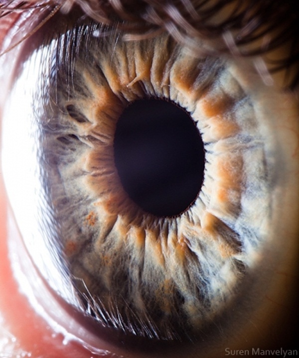Os olhos humanos como você nunca viu