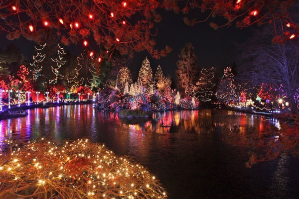 christmas-lights-10