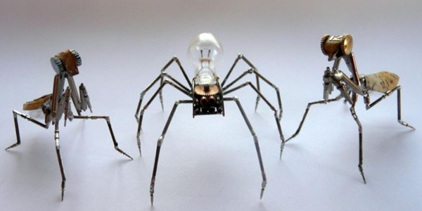 insetos aranha
